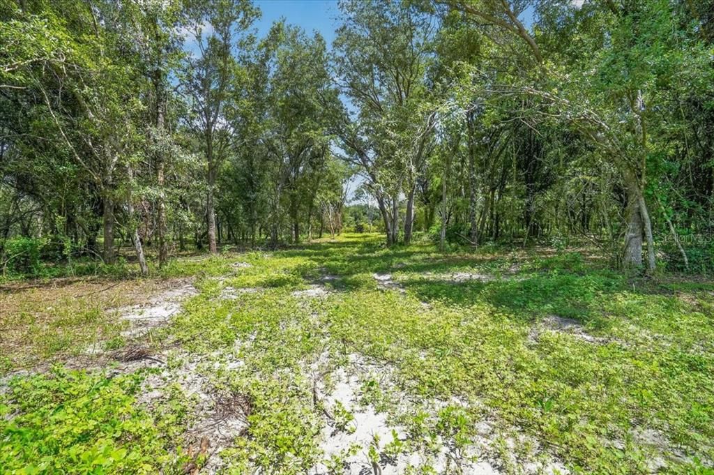 待售: $425,000 (5.21 acres)