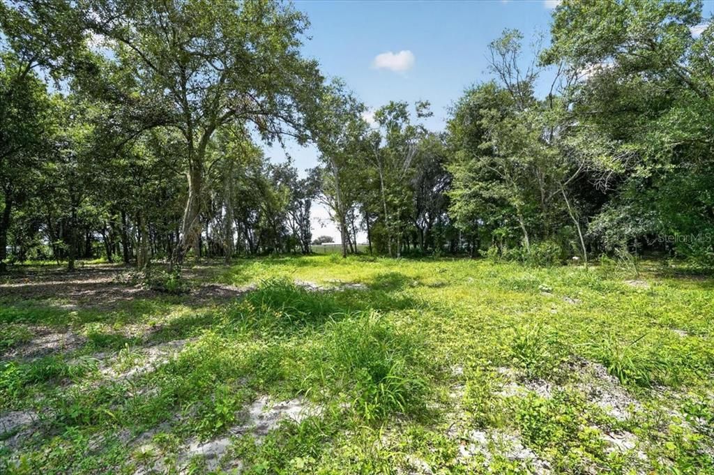待售: $425,000 (5.21 acres)