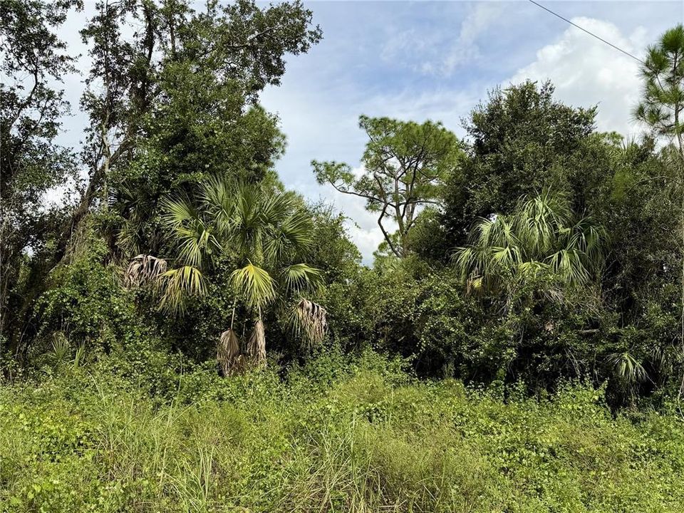 For Sale: $14,500 (0.25 acres)