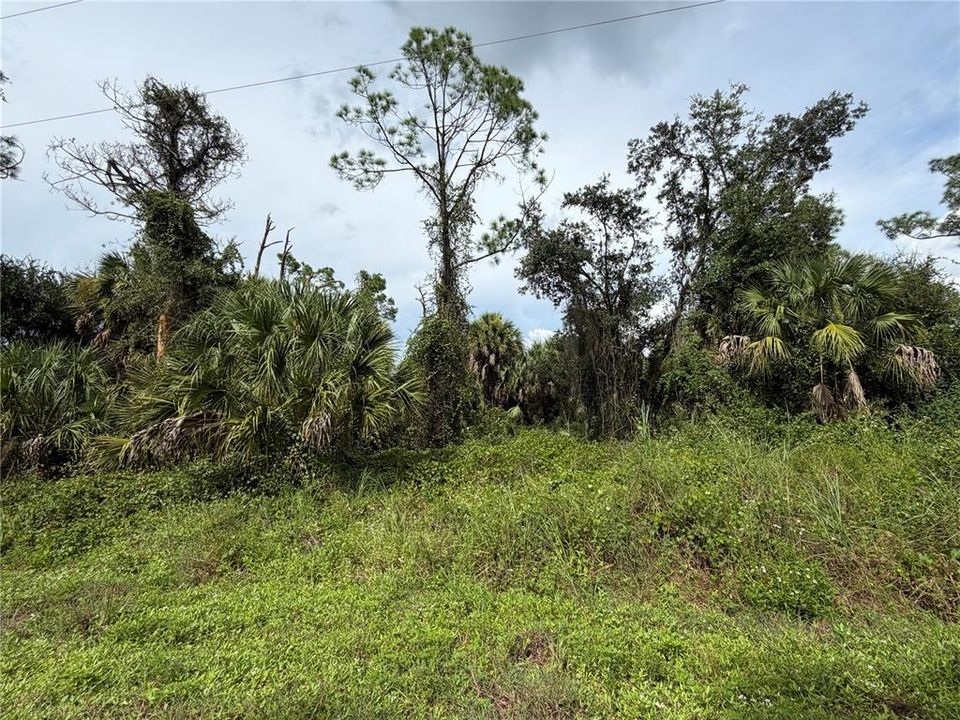 For Sale: $14,500 (0.25 acres)