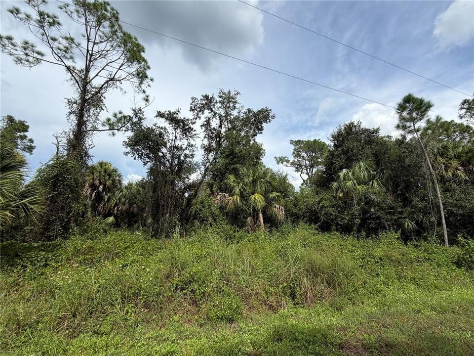 For Sale: $14,500 (0.25 acres)