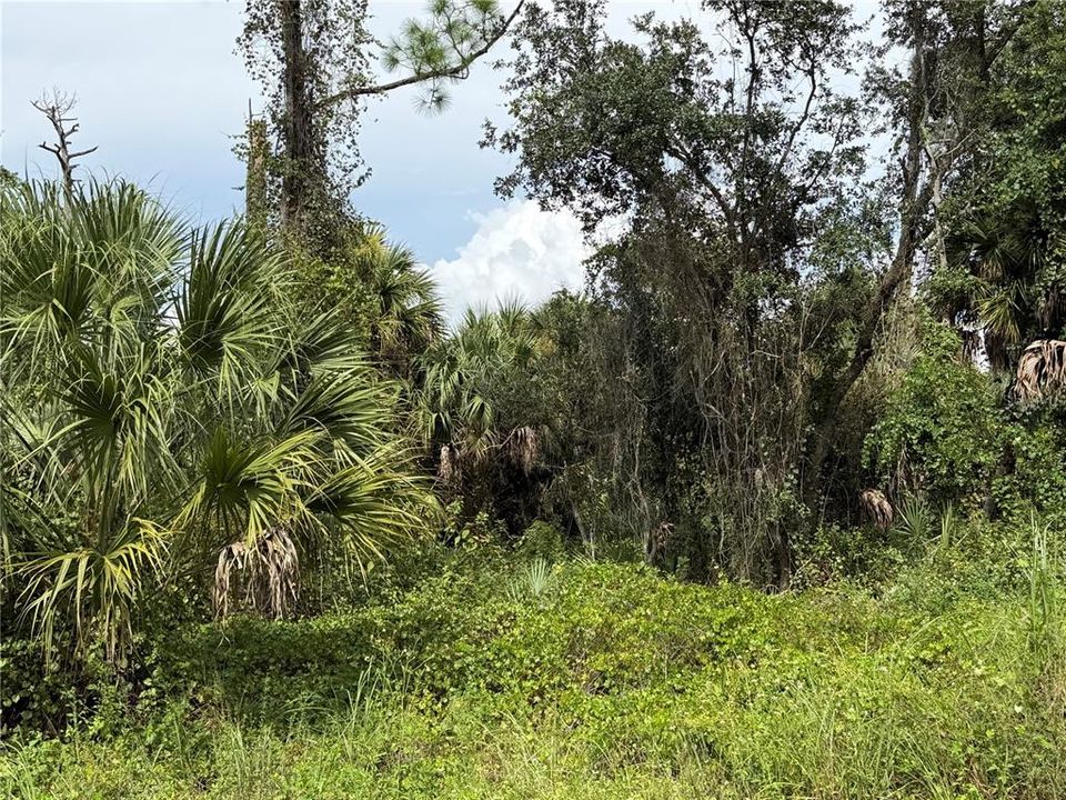 For Sale: $14,500 (0.25 acres)