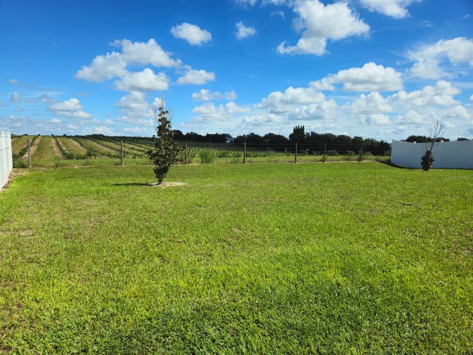For Rent: $1,900 (4 beds, 2 baths, 1696 Square Feet)