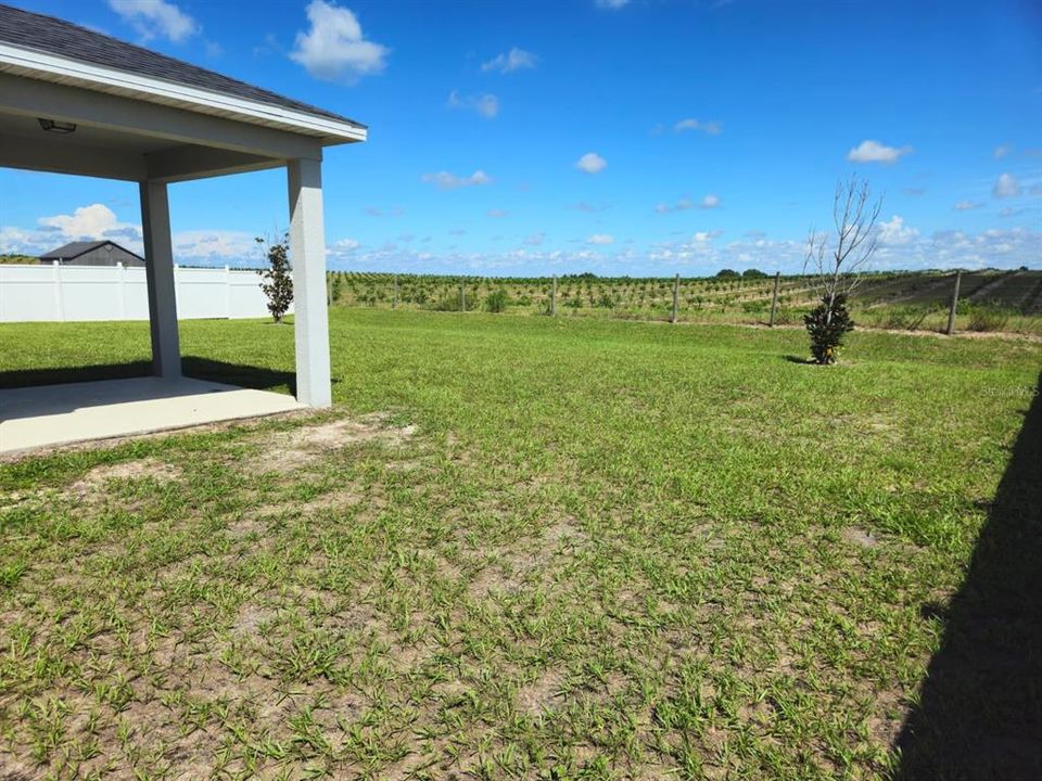 For Rent: $1,900 (4 beds, 2 baths, 1696 Square Feet)