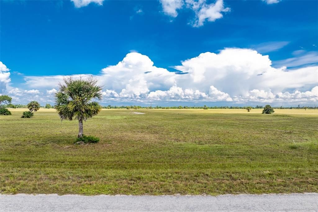 For Sale: $28,000 (0.25 acres)