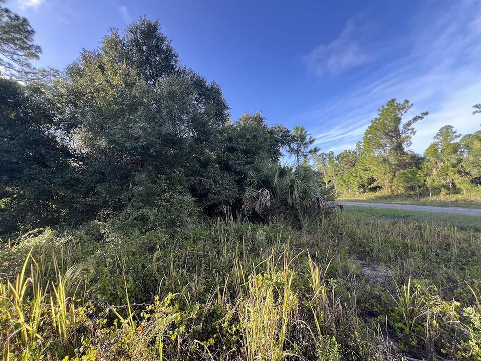 待售: $11,000 (0.23 acres)