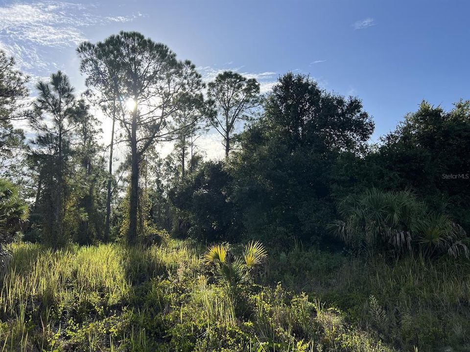 待售: $11,000 (0.23 acres)