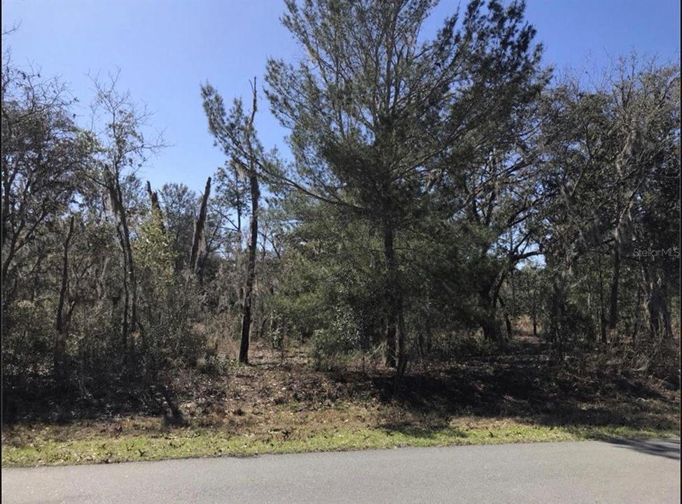 Недавно продано: $110,000 (1.01 acres)