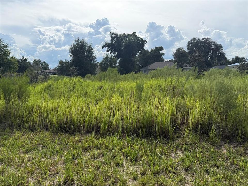 Active With Contract: $26,500 (0.33 acres)