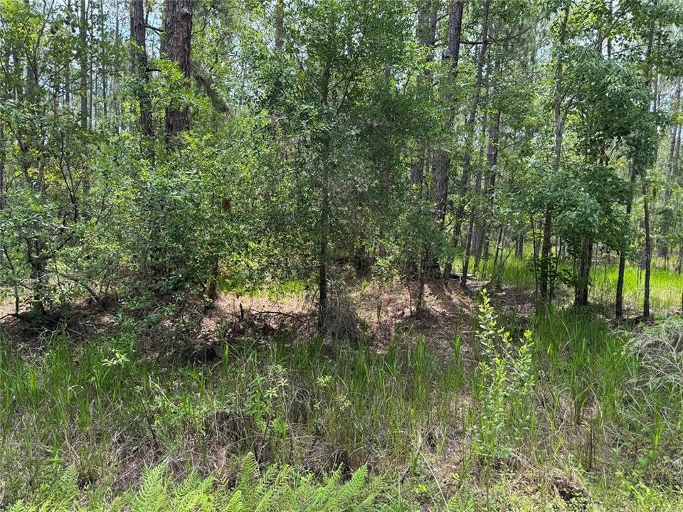 For Sale: $63,000 (0.57 acres)