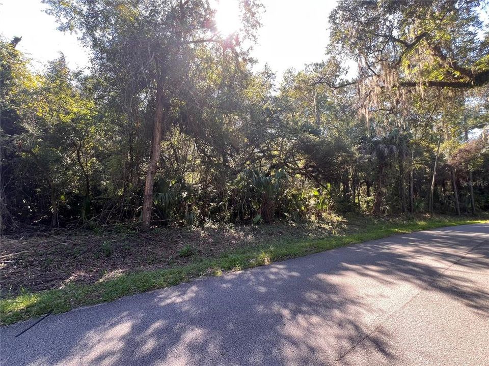 待售: $30,000 (1.14 acres)