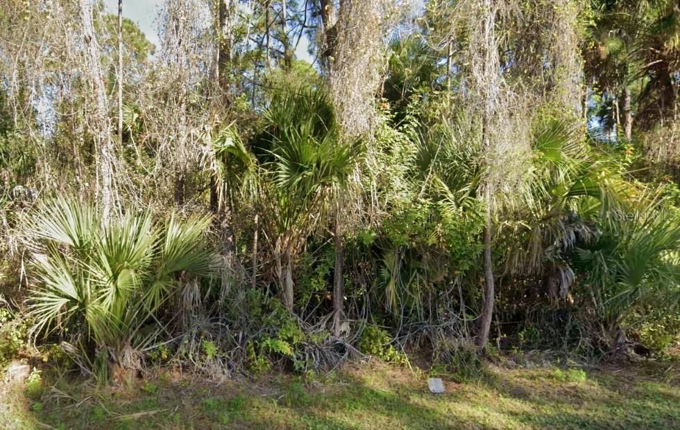 For Sale: $29,999 (0.23 acres)