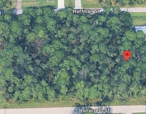 For Sale: $29,999 (0.23 acres)
