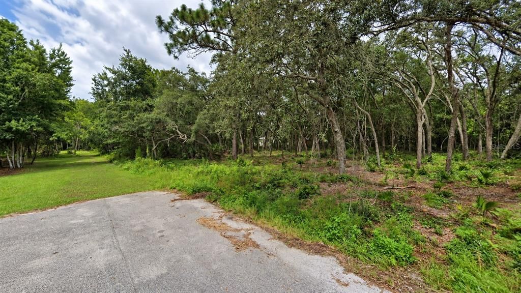 待售: $45,000 (0.36 acres)