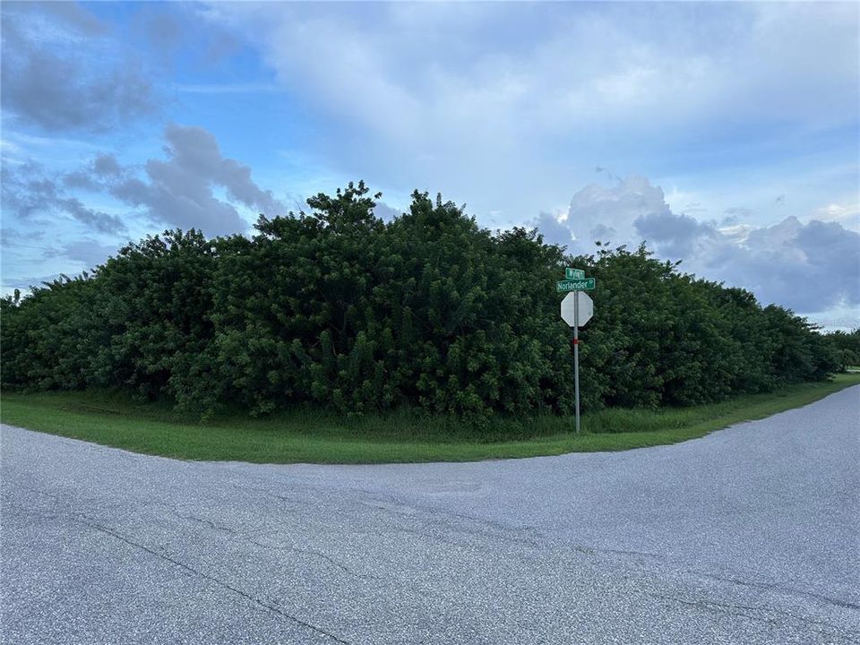 For Sale: $49,000 (0.27 acres)
