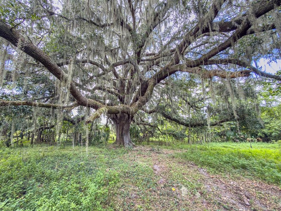 На продажу: $750,000 (29.87 acres)