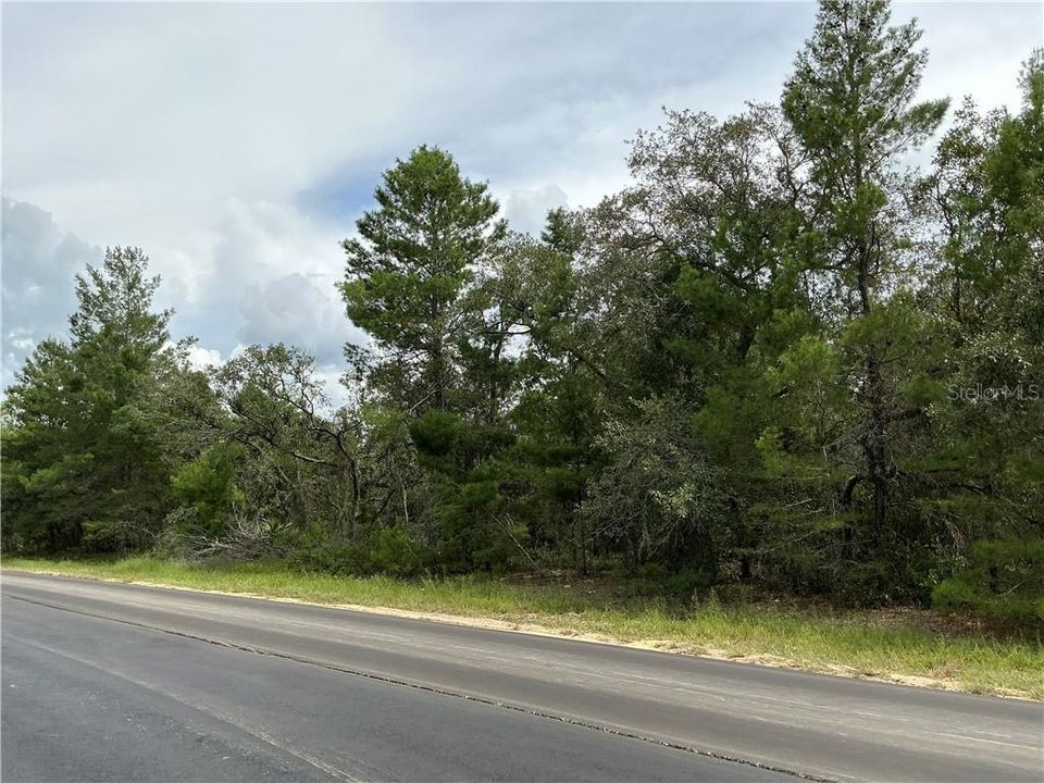 待售: $139,000 (2.95 acres)
