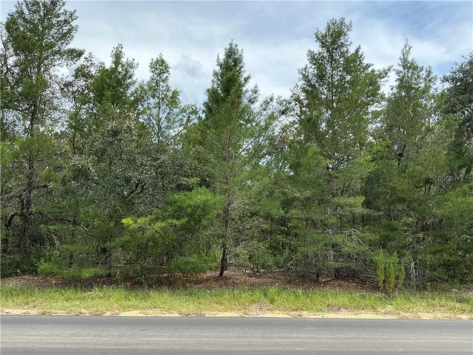 待售: $139,000 (2.95 acres)