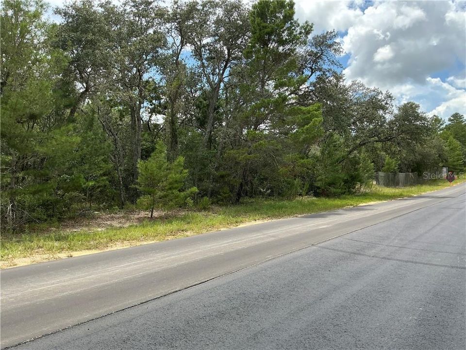 待售: $139,000 (2.95 acres)