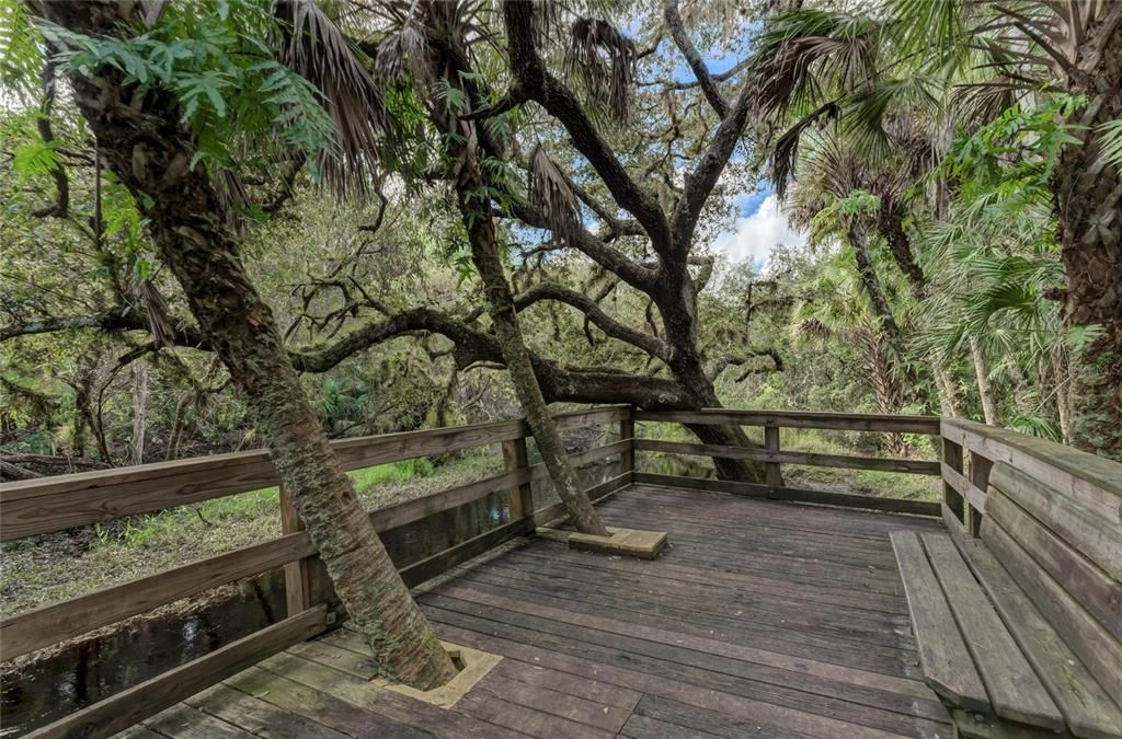 待售: $32,000 (0.23 acres)