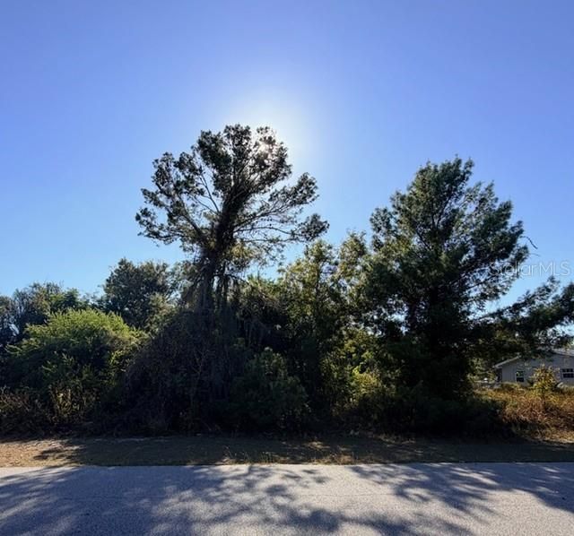 待售: $20,000 (0.23 acres)