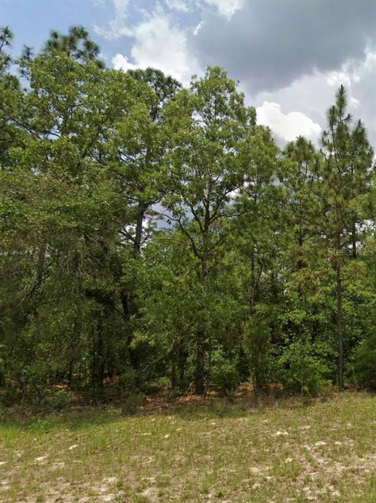 На продажу: $209,000 (0.83 acres)
