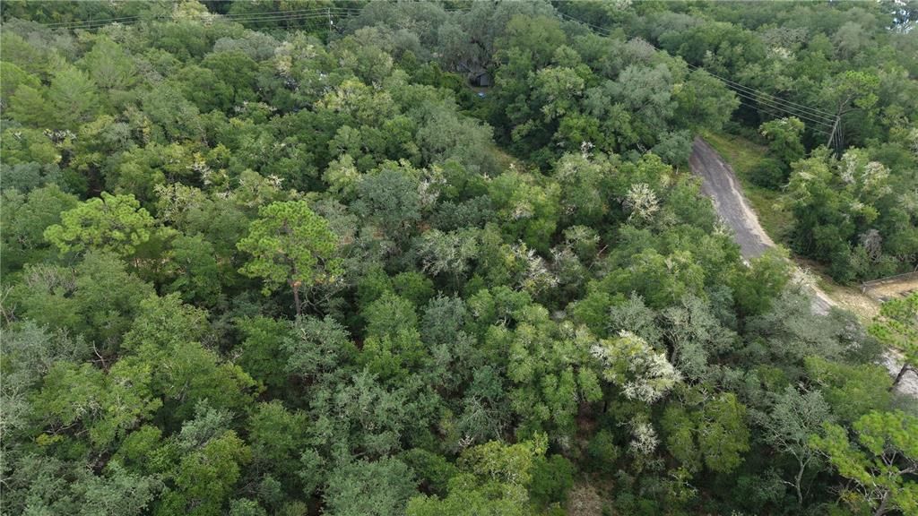 For Sale: $26,000 (0.23 acres)