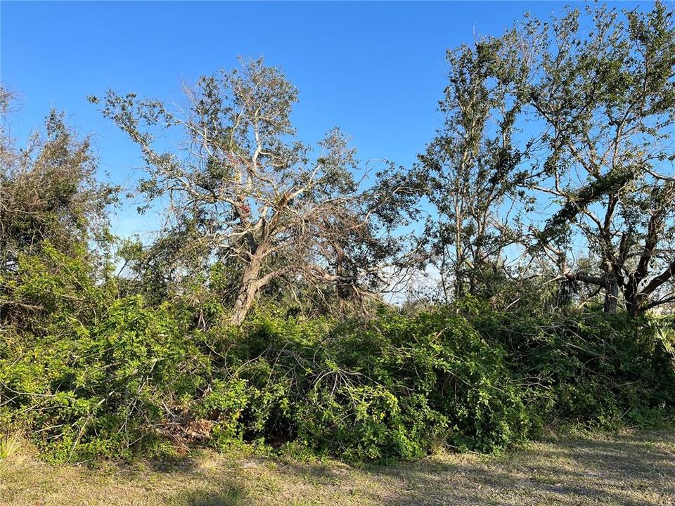 待售: $19,500 (0.23 acres)