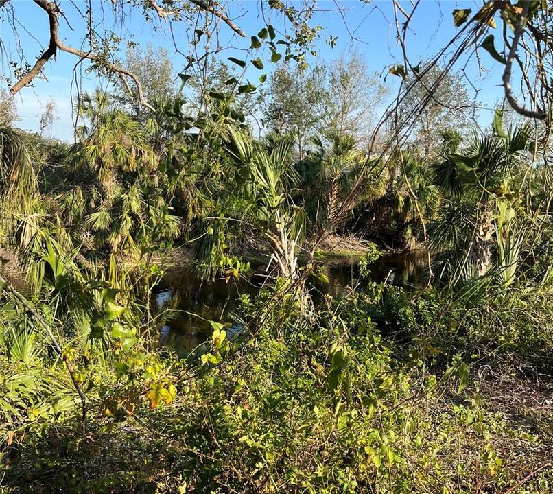 待售: $19,500 (0.23 acres)