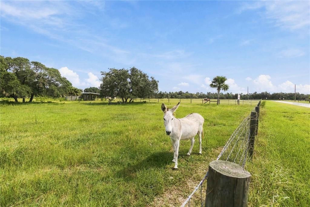 На продажу: $500,000 (9.91 acres)