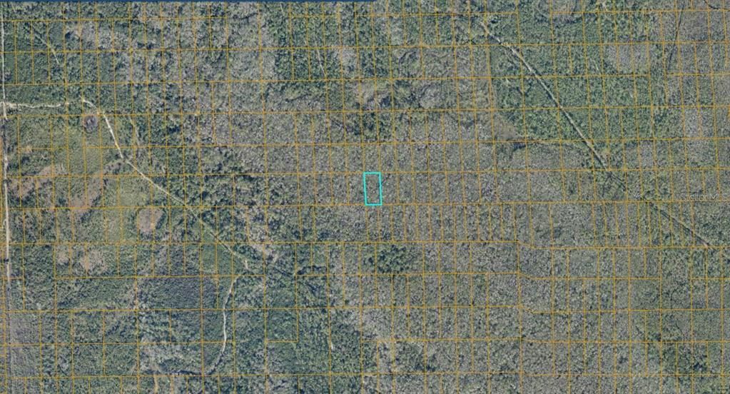 En Venta: $13,500 (1.25 acres)
