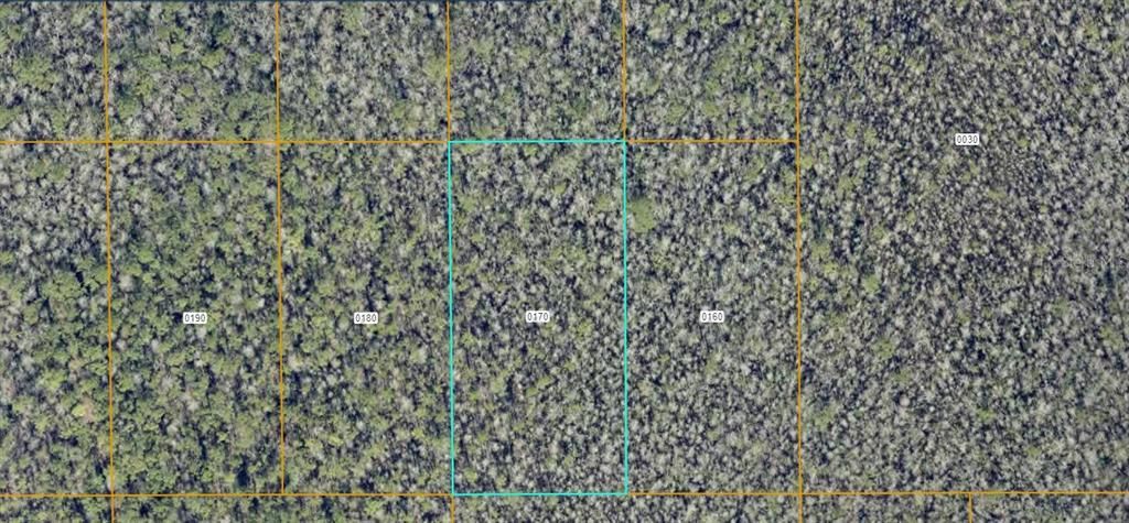 For Sale: $12,000 (1.25 acres)