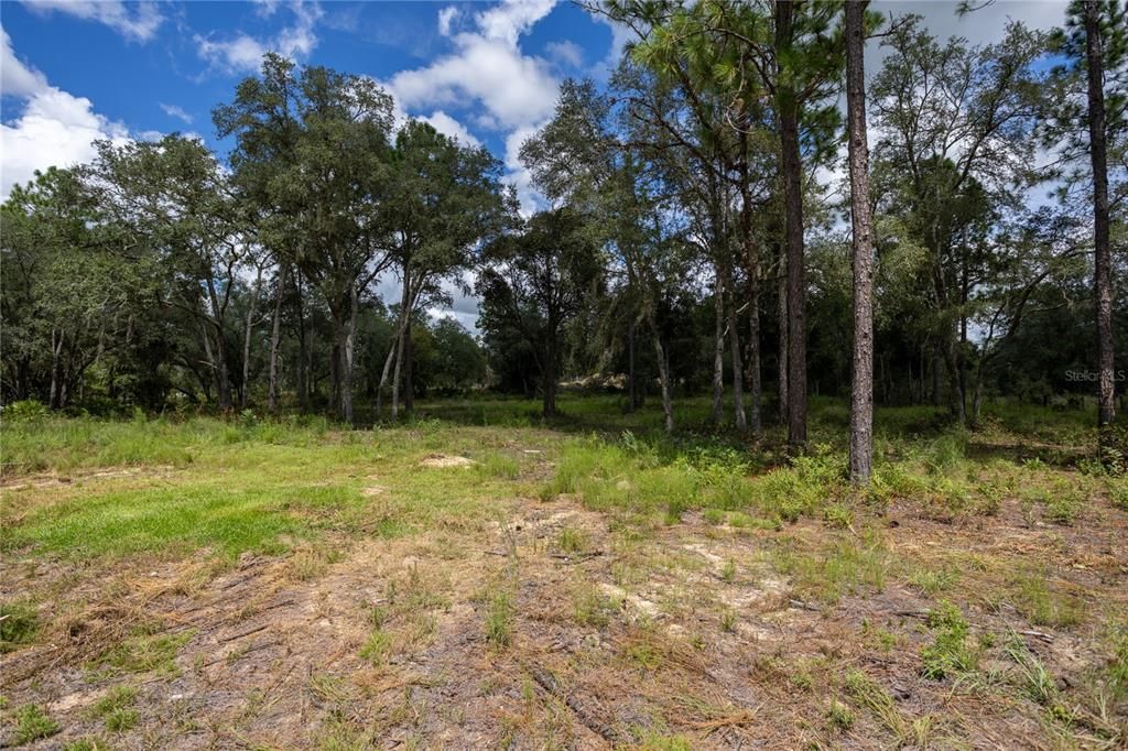 For Sale: $85,000 (3.44 acres)