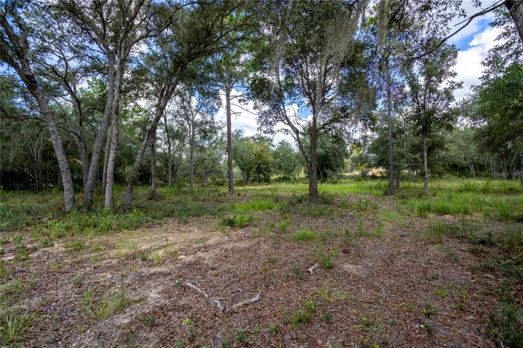 For Sale: $85,000 (3.44 acres)