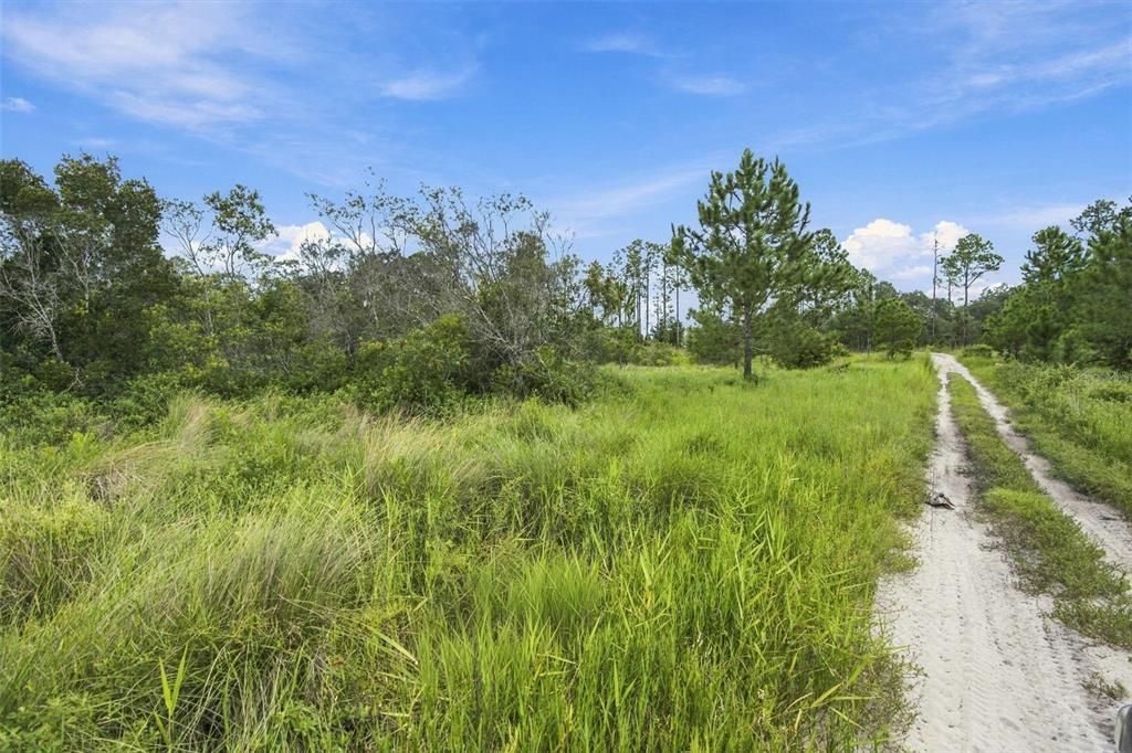 待售: $1,500,000 (36.60 acres)