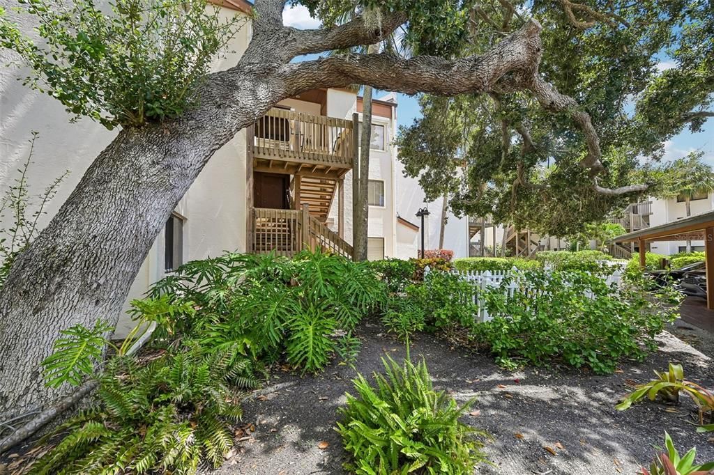 Active With Contract: $535,000 (2 beds, 1 baths, 1010 Square Feet)
