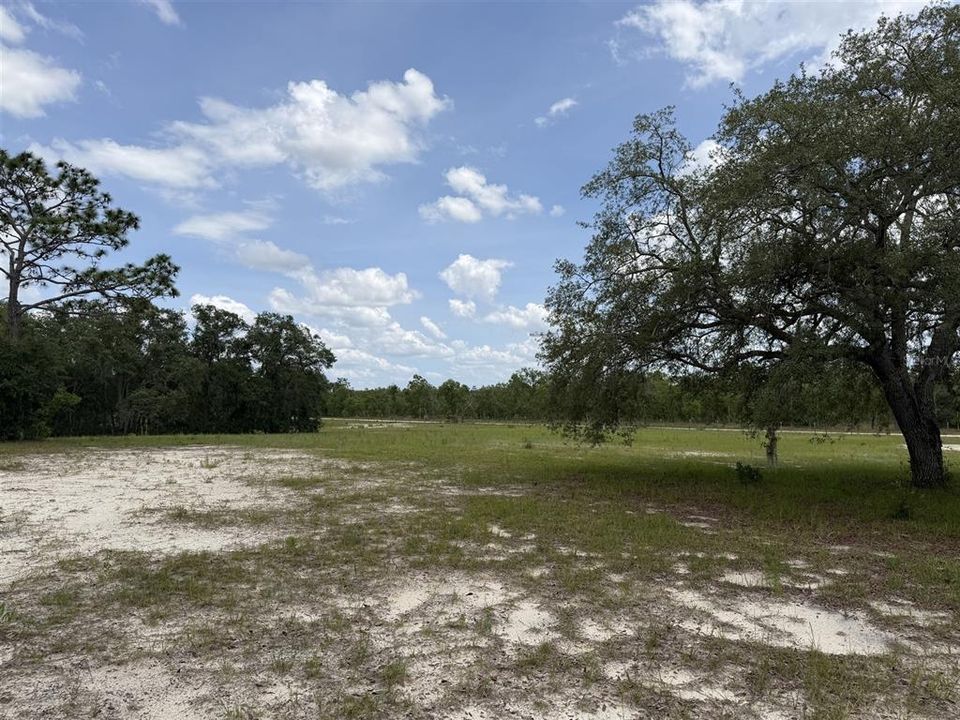For Sale: $365,000 (3 beds, 2 baths, 1680 Square Feet)
