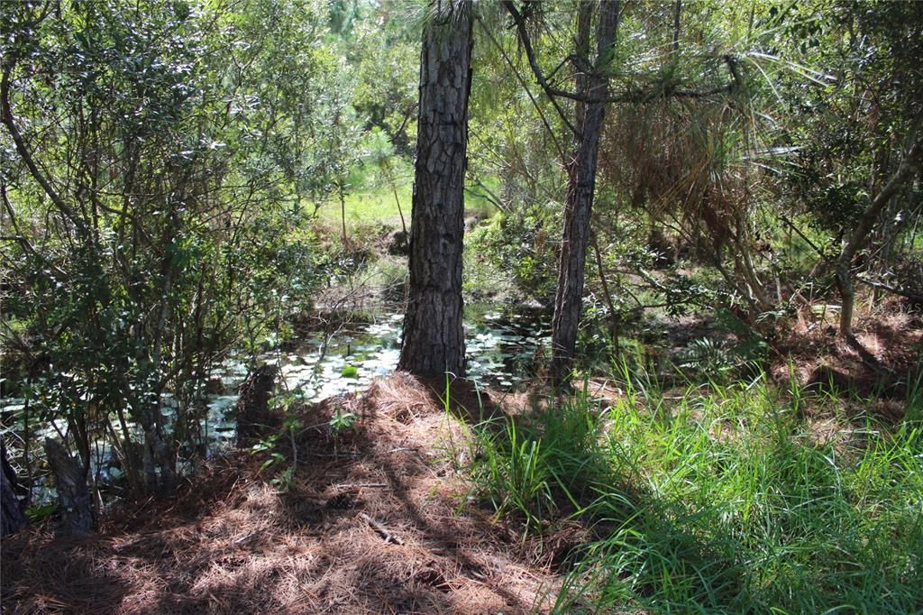 待售: $900,000 (20.00 acres)