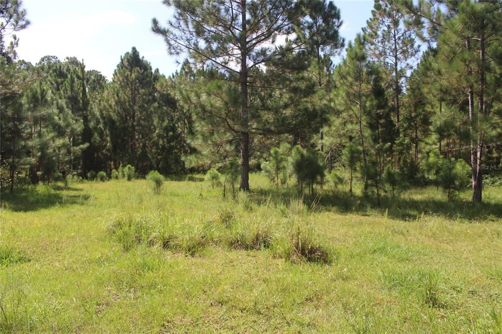 待售: $900,000 (20.00 acres)