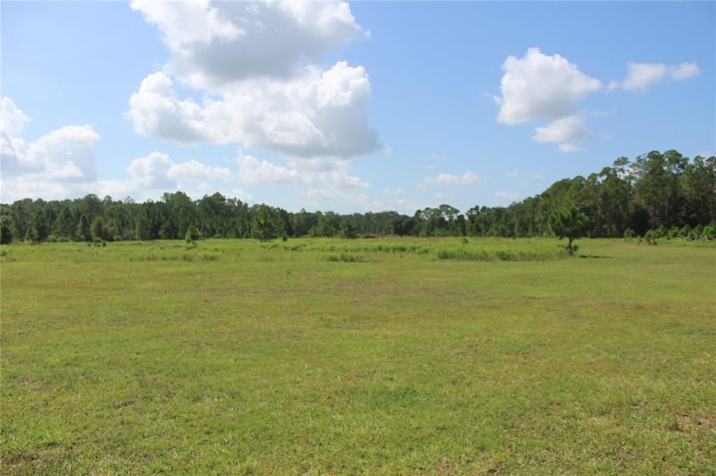 待售: $900,000 (20.00 acres)