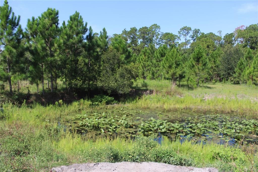 待售: $900,000 (20.00 acres)