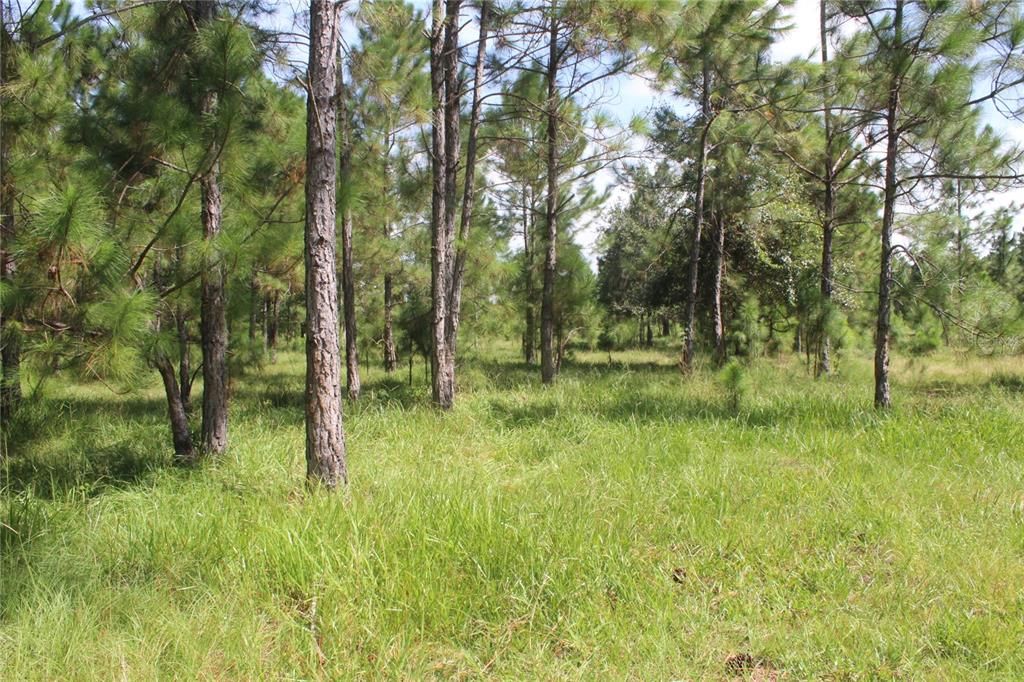 待售: $900,000 (20.00 acres)