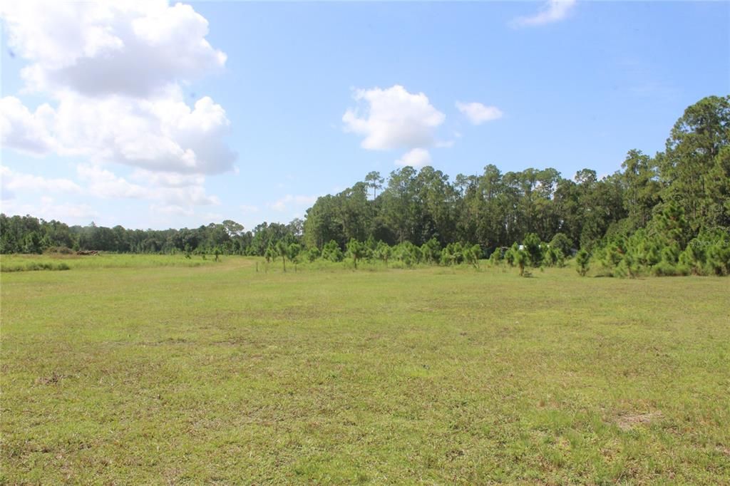 待售: $900,000 (20.00 acres)