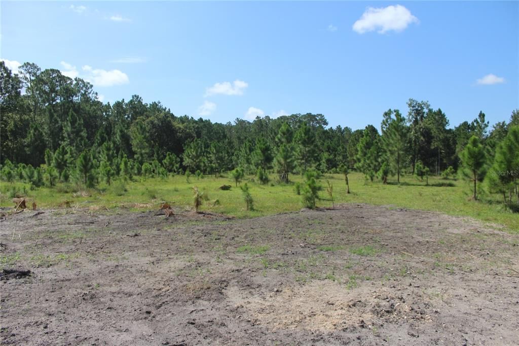 待售: $900,000 (20.00 acres)