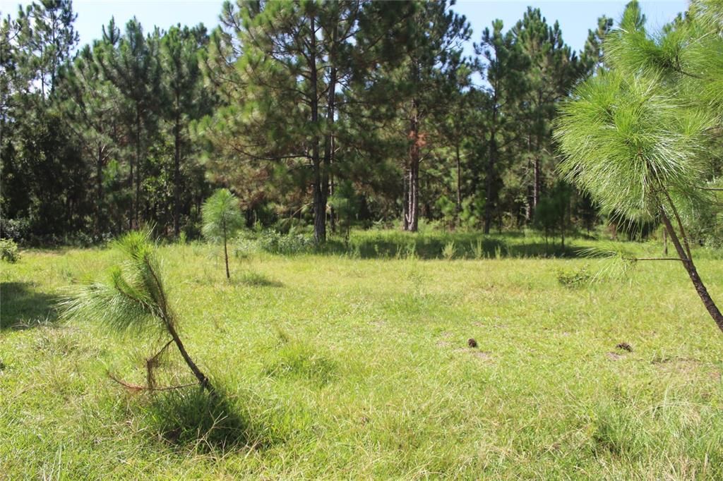 待售: $900,000 (20.00 acres)