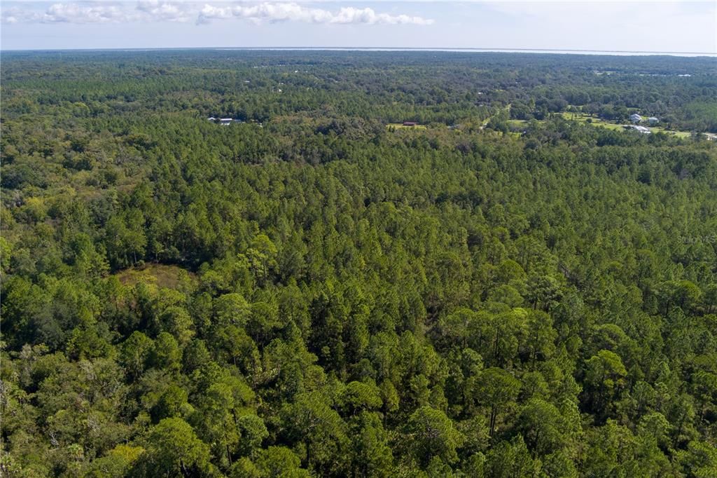For Sale: $8,000 (2.39 acres)