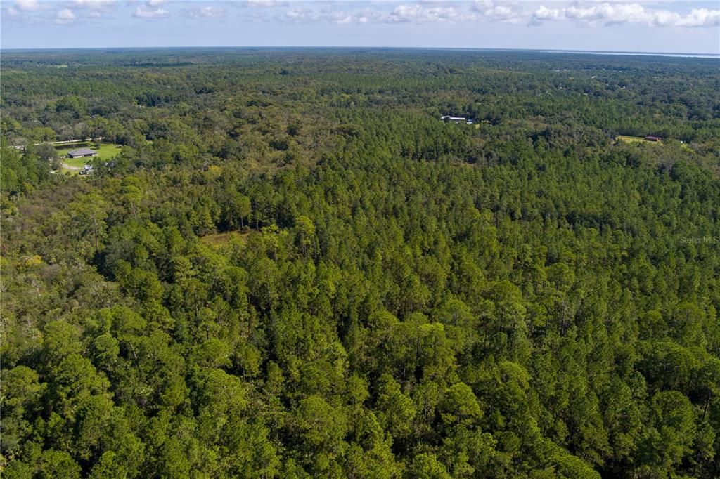 For Sale: $8,000 (2.39 acres)