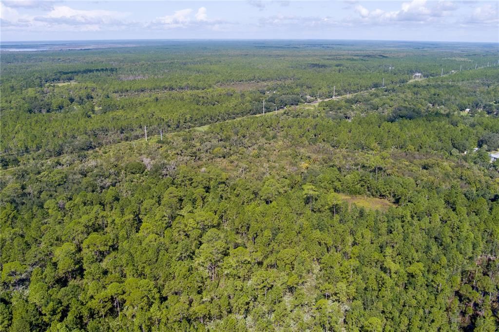 For Sale: $8,000 (2.39 acres)