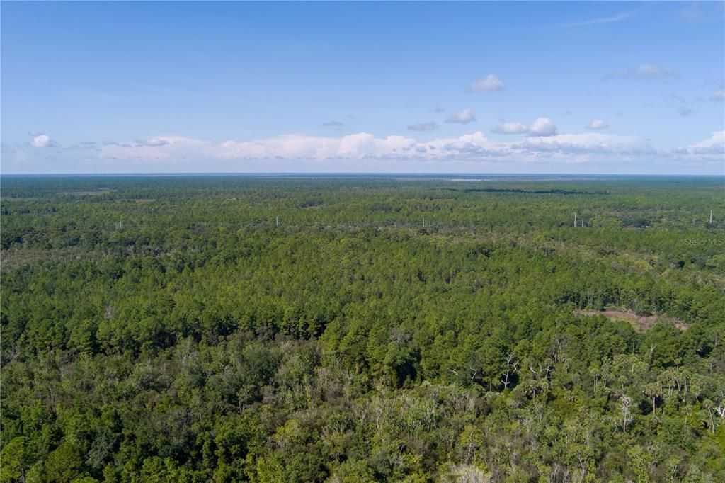 For Sale: $8,000 (2.39 acres)