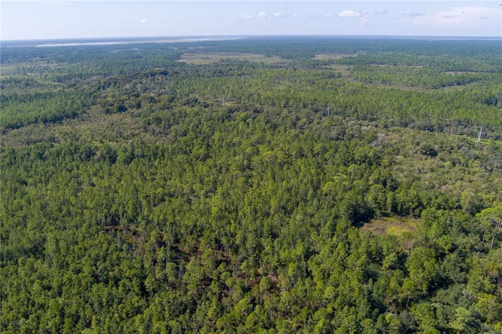 For Sale: $8,000 (2.39 acres)